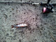 20130413_064836.jpg