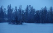 IMG_1848.jpg