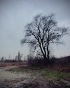 IMG_1857.jpg