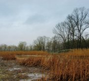 IMG_1864.jpg