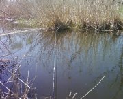 Photo-0001.jpg