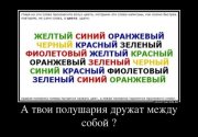 51505032.jpg