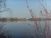 SDC10955.JPG