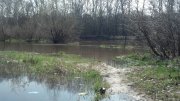 2013-04-18_10-30-58_555.jpg