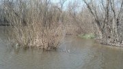 2013-04-18_11-30-39_745.jpg