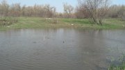 2013-04-18_11-30-49_460.jpg