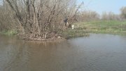 2013-04-18_11-30-55_255.jpg