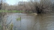 2013-04-18_11-31-07_858.jpg