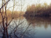IMG_1886_resize.jpg