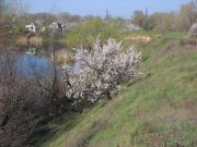 DSCN0886.JPG