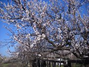 DSCN0881.JPG