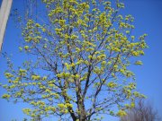 DSCN0887.JPG