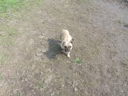 IMG_0200.JPG