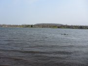 IMG_0221.JPG