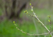 IMG_2503_crop.jpg