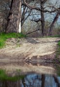 IMG_2501_crop.jpg