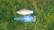 DSC04709.JPG