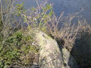 190420131436.jpg