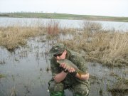 IMG_3927.JPG