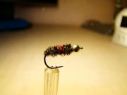 DSC06066.JPG