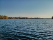IMG_20130422_065022.jpg