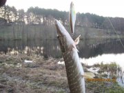 IMG_0536.JPG
