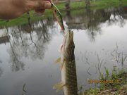 IMG_0537.JPG