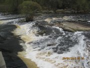 IMG_0540.JPG