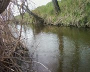 Photo-0002.jpg