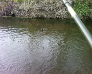 Photo-0004.jpg