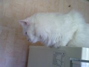 25042013052.jpg