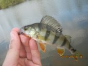 IMG_0549.JPG