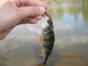 IMG_0550.JPG
