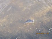 IMG_0552.JPG