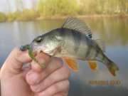 IMG_0553.JPG