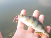 IMG_0554.JPG