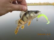 IMG_0555.JPG