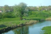 S1230009.jpg