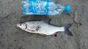 2013-04-26_19-16-44_486.jpg