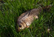 IMG_2564.jpg