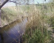 Photo-0001.jpg