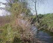 Photo-0002.jpg