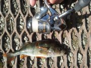 20130428_113600.jpg