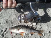 20130428_121128.jpg