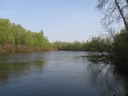 IMG_4219.JPG