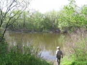 IMG_4221.JPG