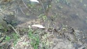 2013-04-28_13-42-43_981.jpg