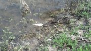2013-04-28_13-44-30_869.jpg