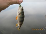 IMG_0557.JPG