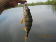 IMG_0558.JPG